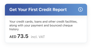 Credit Report Card